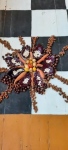 Ruduo_2021-25