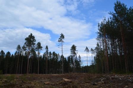Padarėm gerą darbą DSC 0637